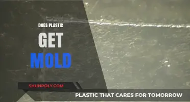 Can Plastic Develop Mold? Understanding Growth Conditions and Prevention