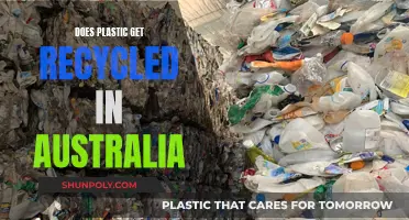 Australia's Plastic Recycling: A Deep Dive into the Process