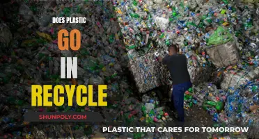 Plastic Recycling: What Works and What Doesn't