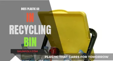 Recycling 101: Unraveling the Mystery of Plastic Waste