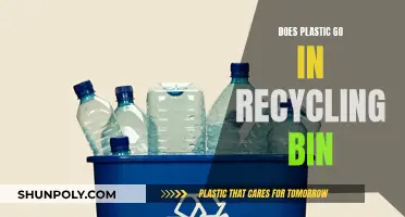 How to Properly Dispose of Plastic: Recycling Bin Tips
