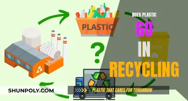 Unraveling the Mystery: Can Plastic Be Recycled?