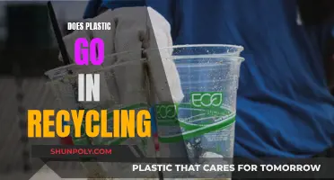 Recycling Plastic: What You Need to Know