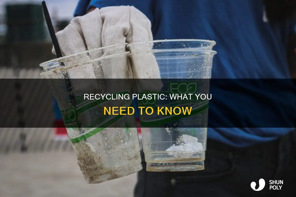 does plastic go in recycling