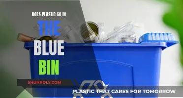 Recycling Plastic: What Goes in the Blue Bin?