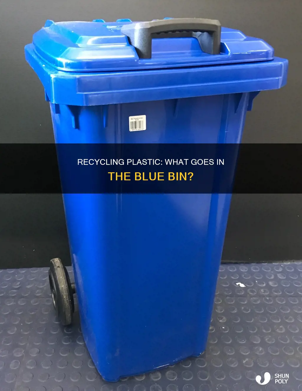 does plastic go in the blue bin