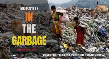 Garbage Sorting: Plastic's Place in Waste Management