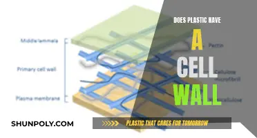 Cell Wall and Plastic: What's the Connection?