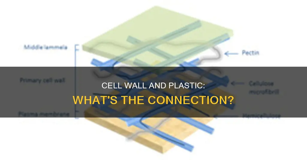 does plastic have a cell wall