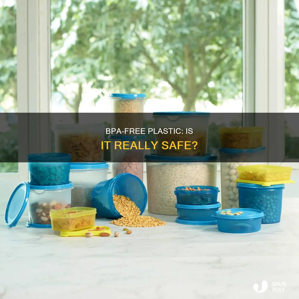 does plastic have to say bpa free
