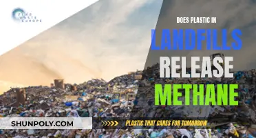 Landfills and Plastic: Methane's Dark Secret