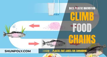Plastic Pollution: Climbing Food Chains, Impacting Nature