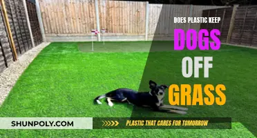 Plastic Grass: Keeping Dogs Off?