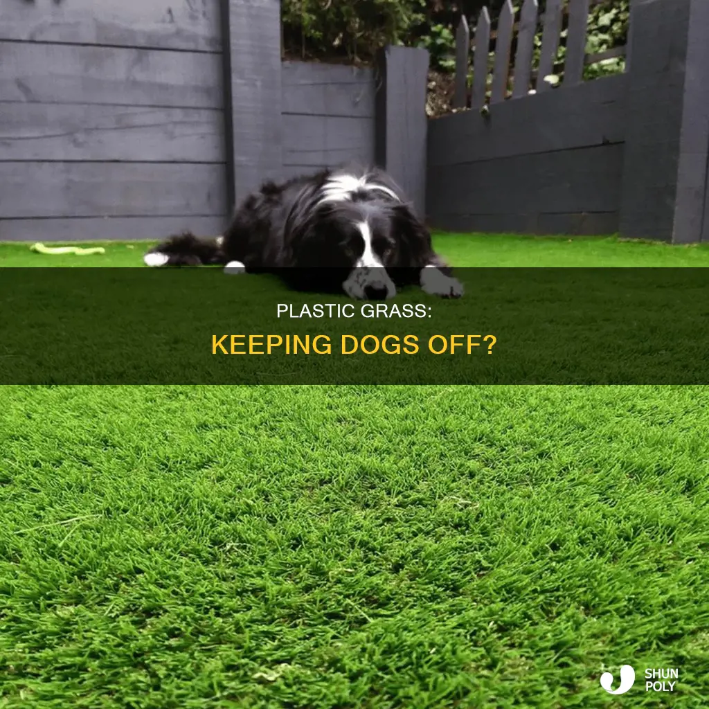 does plastic keep dogs off grass