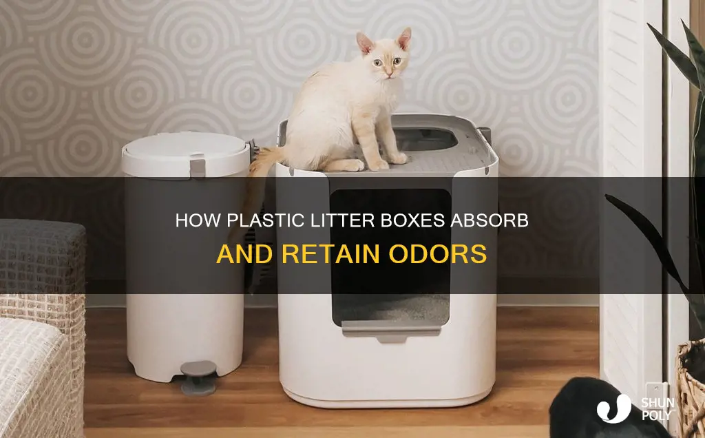 does plastic kitty liter pan retain smell