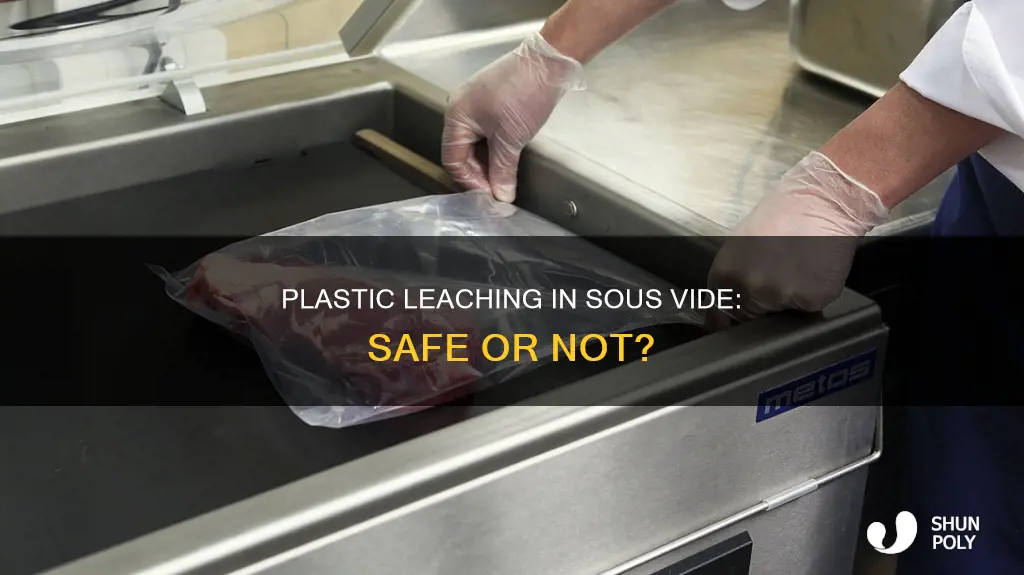 does plastic leach in sous vide