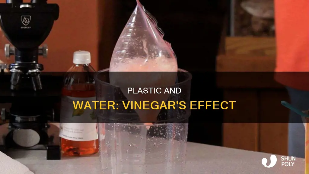 does plastic leak into water with vinegar