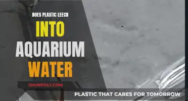 Aquarium Plastic Leach: Is Your Tank Water Safe?
