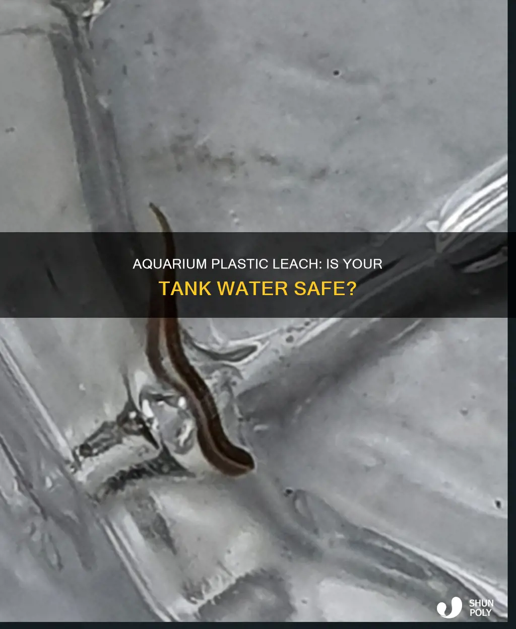 does plastic leech into aquarium water