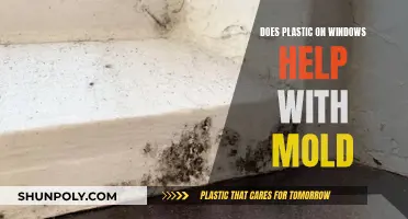 How Plastic on Windows Prevents Mold Growth