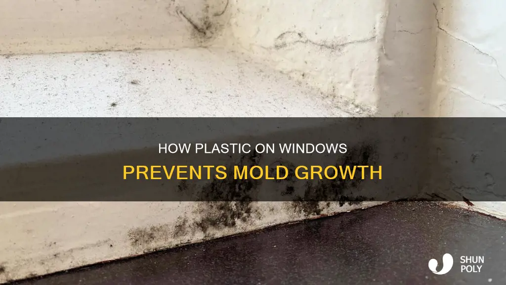 does plastic on windows help with mold