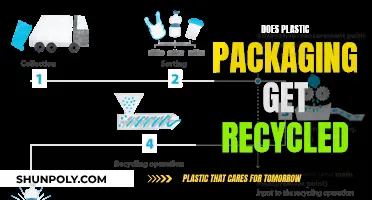 Plastic Packaging: Recycled or Not?