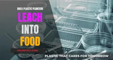Plastic Planters: Safe for Food?