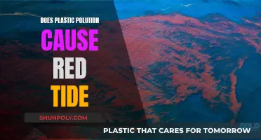 Plastic Pollution: Red Tide's Unseen Culprit?