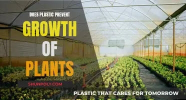 Plastic's Impact: Stunting Plant Growth
