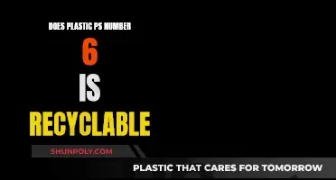 Unraveling the Mystery: Can Plastic #6 Be Recycled?