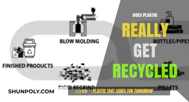 Does Plastic Recycling Work? Uncovering the Truth Behind the Process