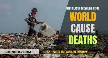 Global Recycling's Dark Side: A Deadly Trade in the Third World