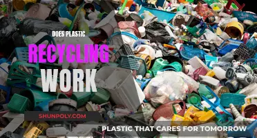 The Reality of Plastic Recycling: Does It Work?