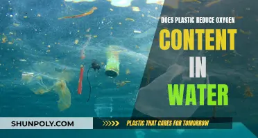 Plastic Pollution: Water's Silent Oxygen Thief