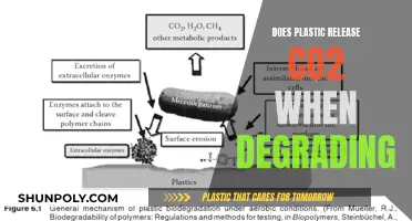 Plastic Degradation: CO2 Emissions and Environmental Impact