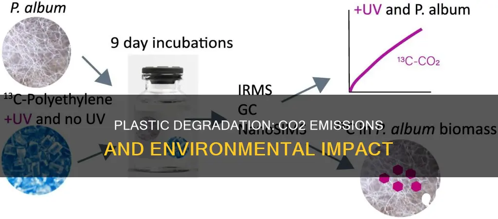 does plastic release co2 when degrading