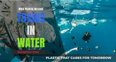 Plastic Toxins: Are They Leaking into Our Water?