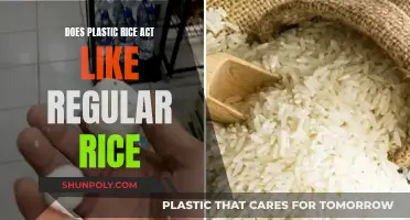 Plastic Rice: A Health Hazard in Disguise