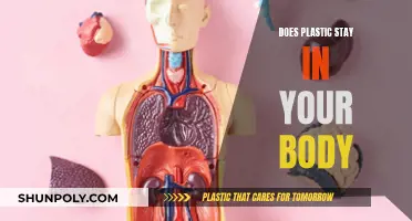 Plastic in the Body: What Stays and What Goes?