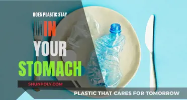 Plastic in Stomach: Harmful Effects and Solutions