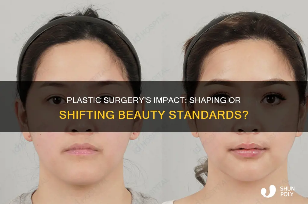 does plastic surgery alter beauty standards
