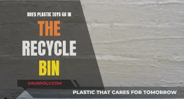 Plastic Toys: To Recycle Bin or Not?