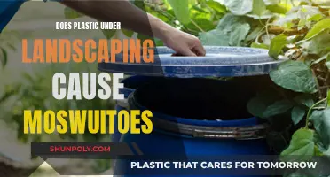 Landscaping Plastic: Mosquito Breeding Ground?