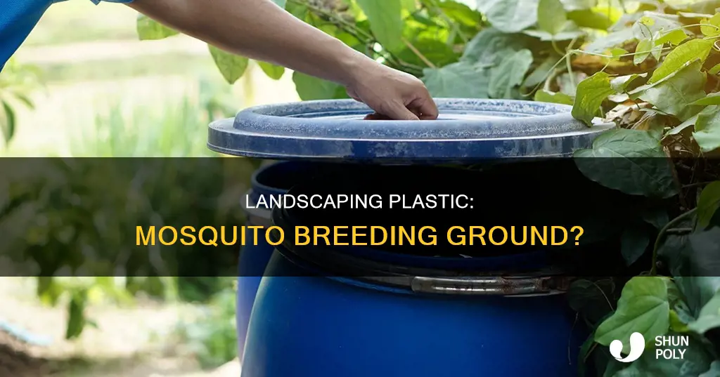 does plastic under landscaping cause moswuitoes