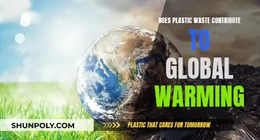 Plastic Waste: Global Warming's Overlooked Culprit