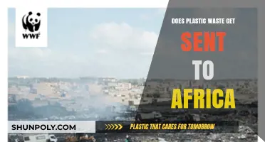 Plastic Waste Export: Africa's Burden in the Global Recycling Crisis