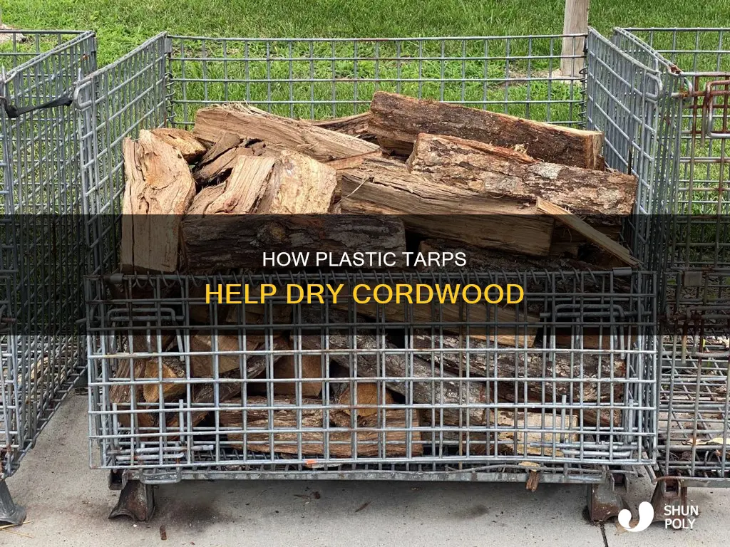 does plastic ynder cordwood help dry