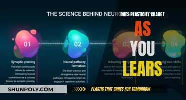 Brain Plasticity: Learning and Adapting Over Time