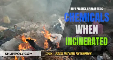Incinerating Plastics: Are We Poisoning Ourselves?