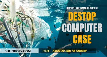 Pledge and Plastic: A Computer Case Study